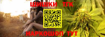 дмт Камышлов